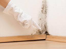 Best Mold Prevention Services  in Deltona, FL